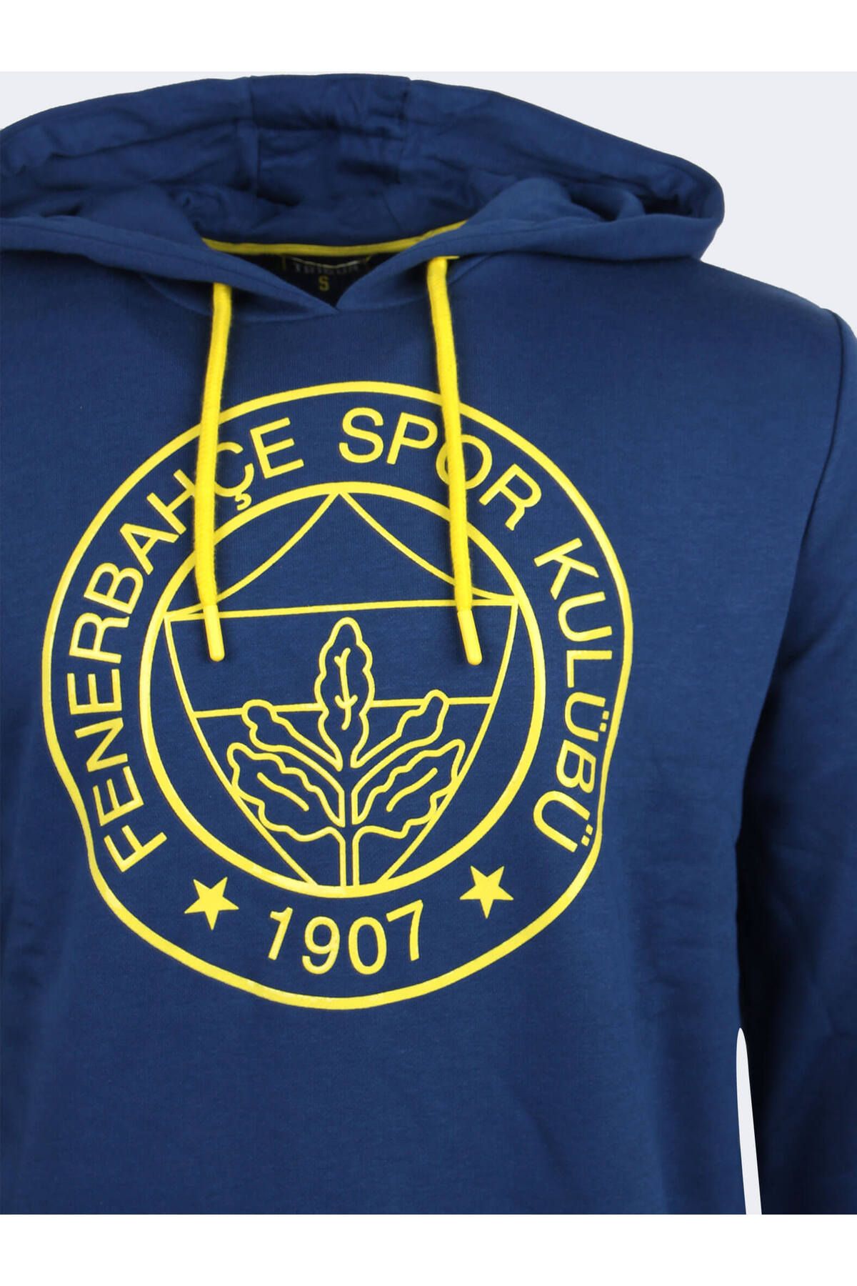 Fenerium-Fenerbahce Herren Tribune Injection Logo Hoodie 3