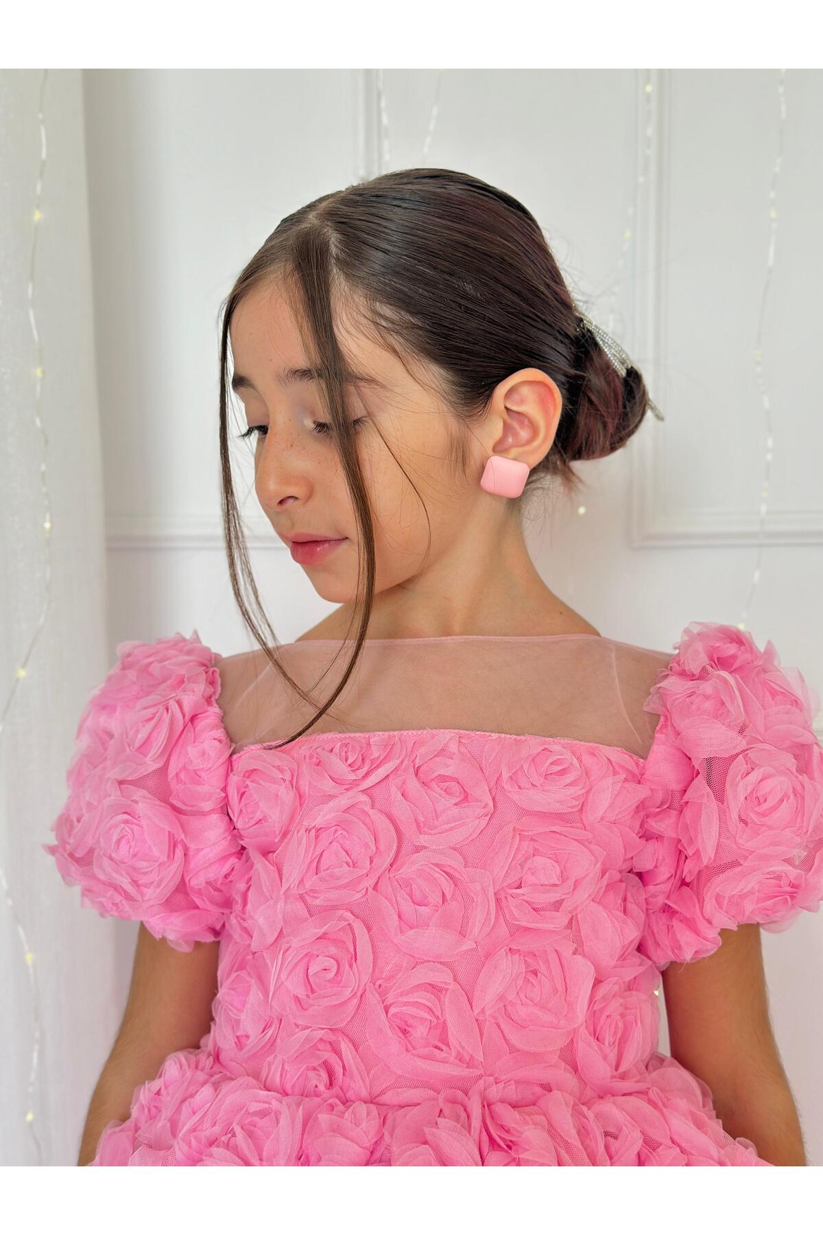 Hly Karol Tasarım Pembe Güllü Diana Vintage Kız Bebek Elbise,Doğum günü elbise,fotoğraf çekim elbise,0-12 Yaş Uygun fotoğrafı 6 (önizleme)