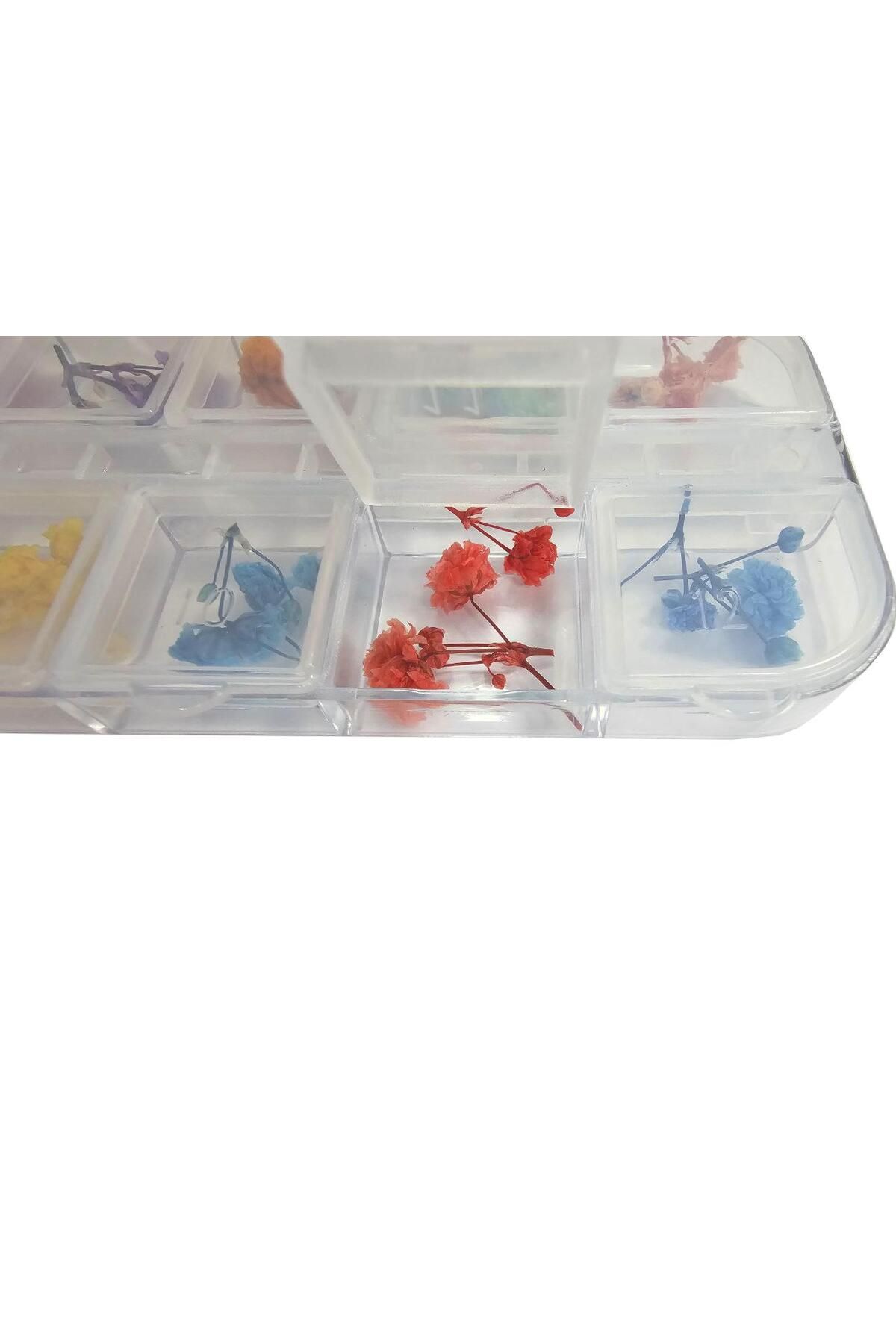 مانیکور ناخن تزیین ناخن گل خشک ست 12 تایی aba nails