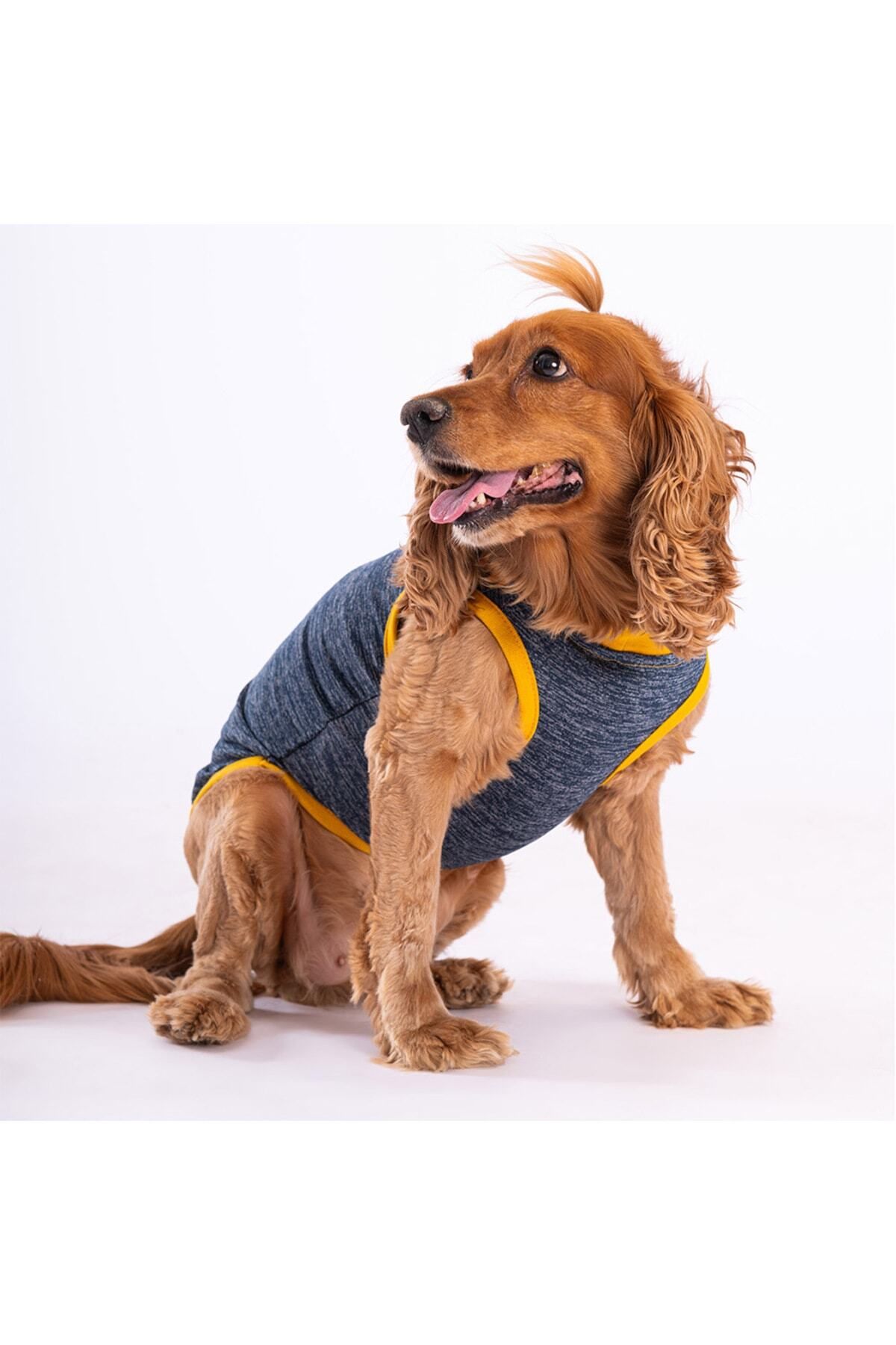 Pawstar-Navy Blue Crab Cat Dog T-Shirt - Cat Dog Outfit 2