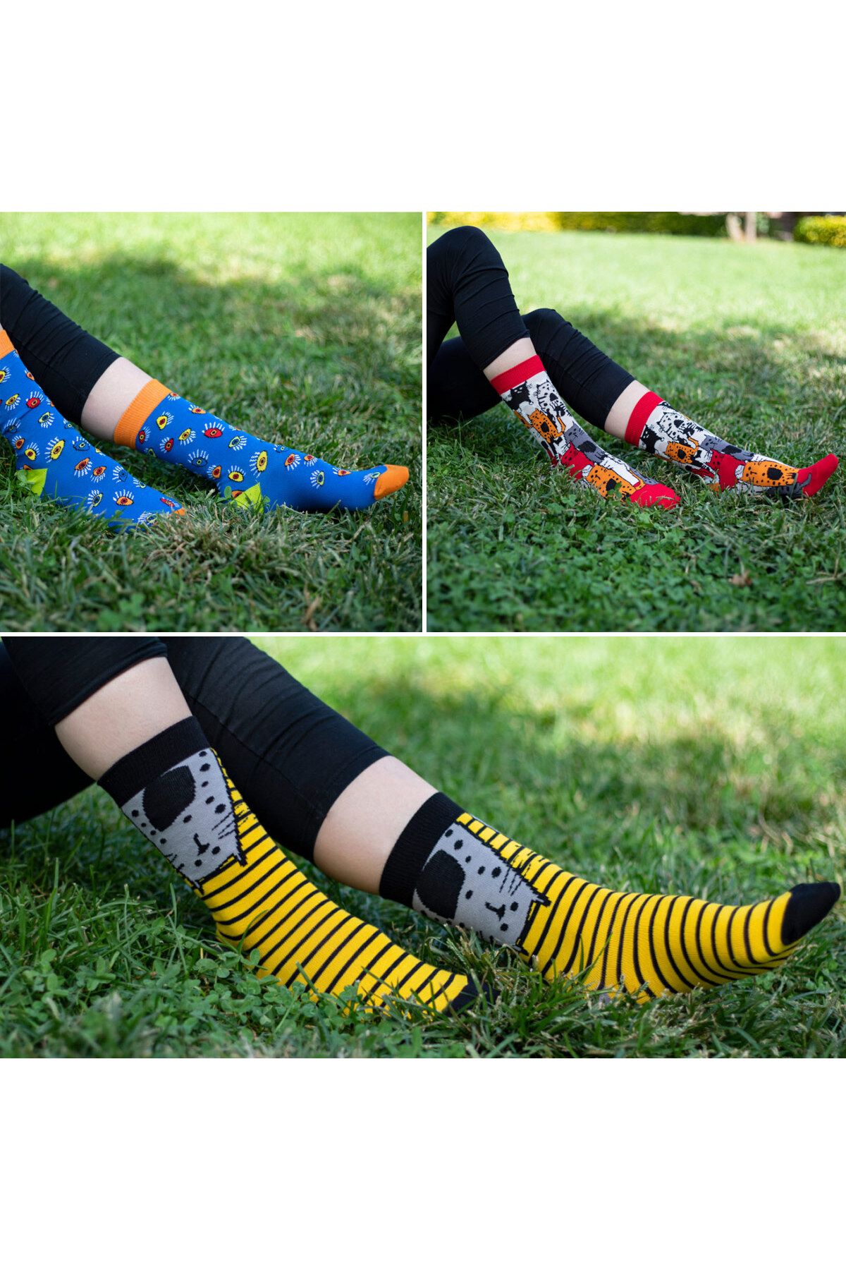 Biggdesign-Women's Sock Set 5