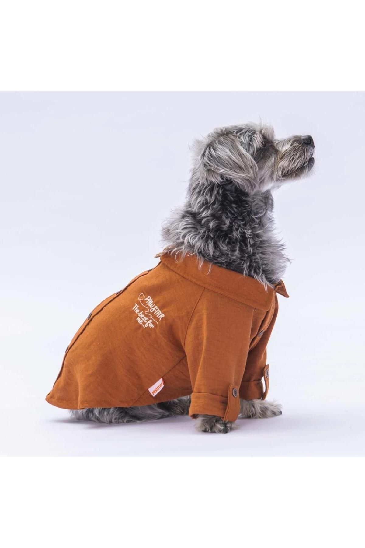 Pawstar-Cat Dog Outfit - Linen Look Brown Shirt 3