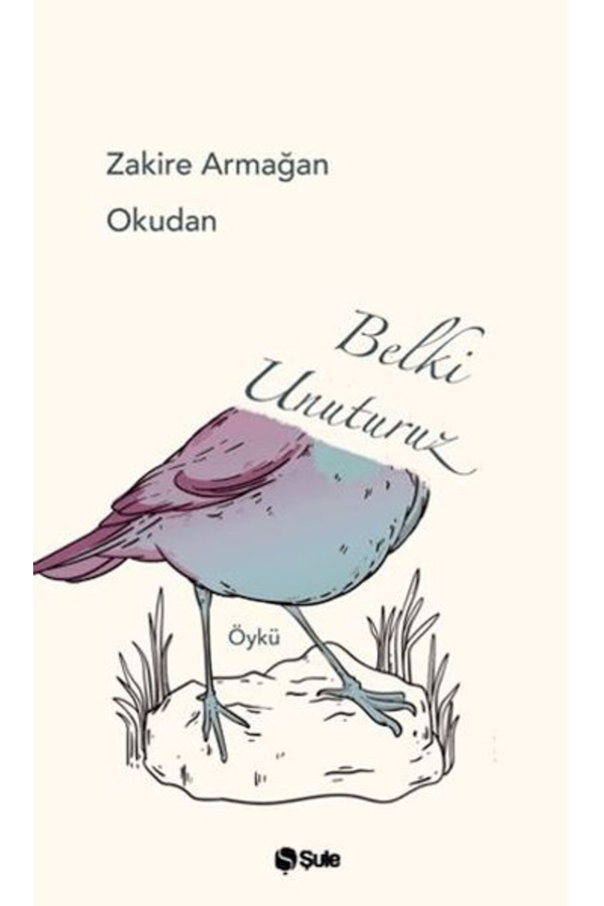 Şule Yayınları Belki Unuturuz