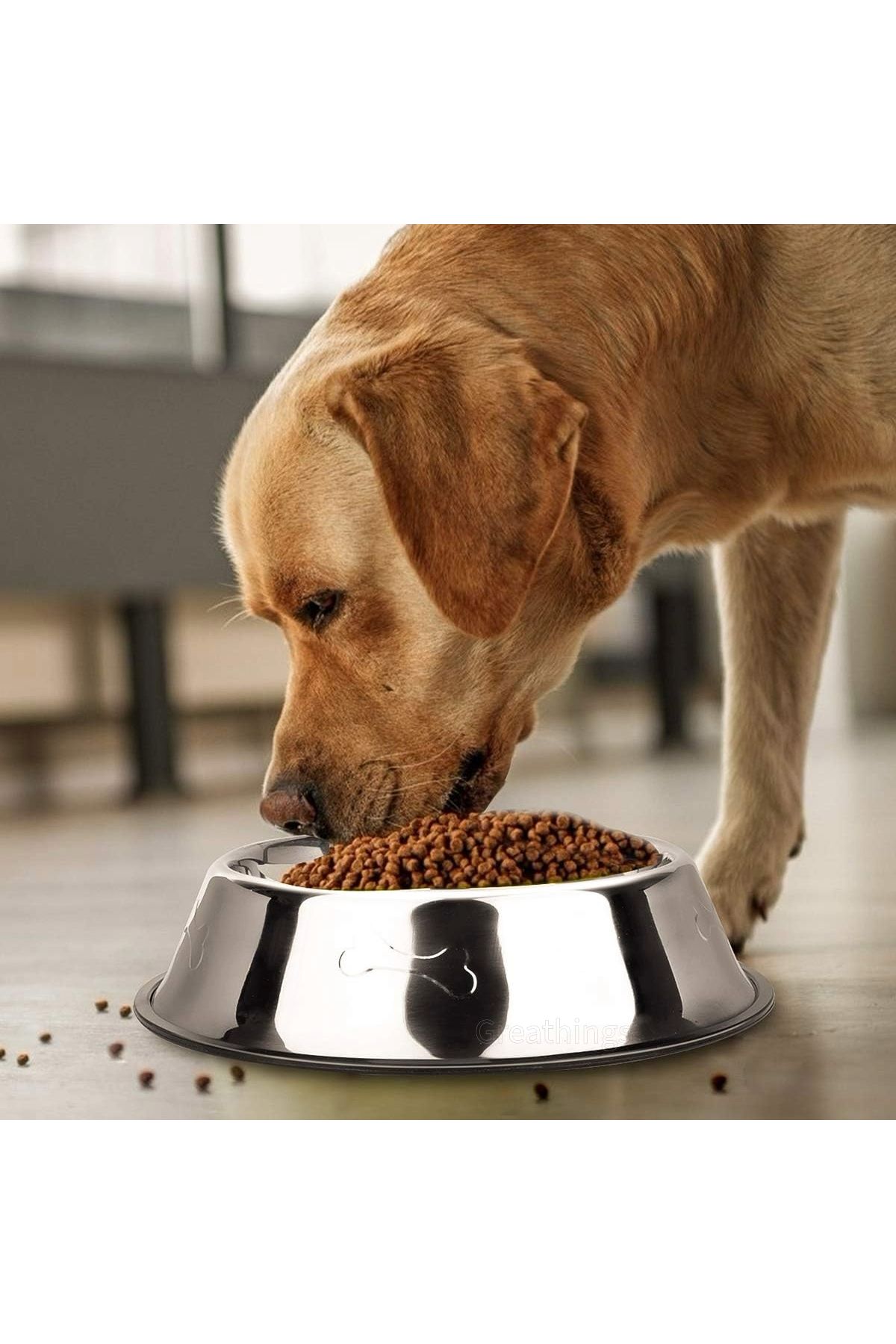 Greathings-18 cm Metal Cat |   Dog Food Bowl, Water Bowl, Steel, Patterned Food and Water Bowl 6