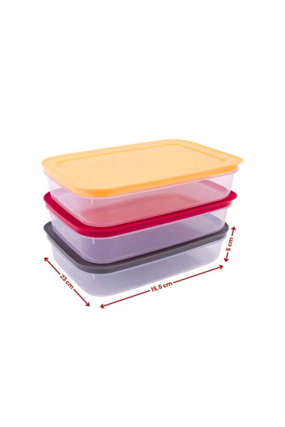 Flora-3-Piece Refrigerator Set - Deep Freezer, Lid Icebox and Mincer Box (Small Size) 3