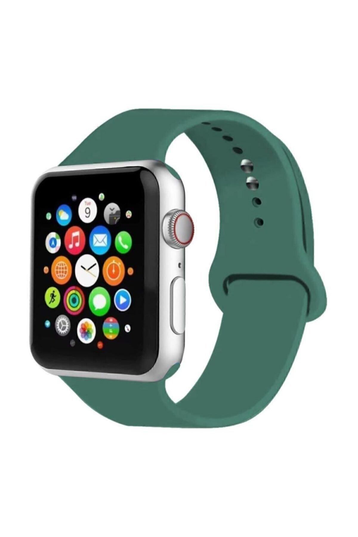 Cimricik Apple Watch Uyumlu 42/44/45/49 Mm Seri 1/2/3/4/5/6/se/7/8/9 Ve 46mm Seri 10 Silikon Kordon No01 42