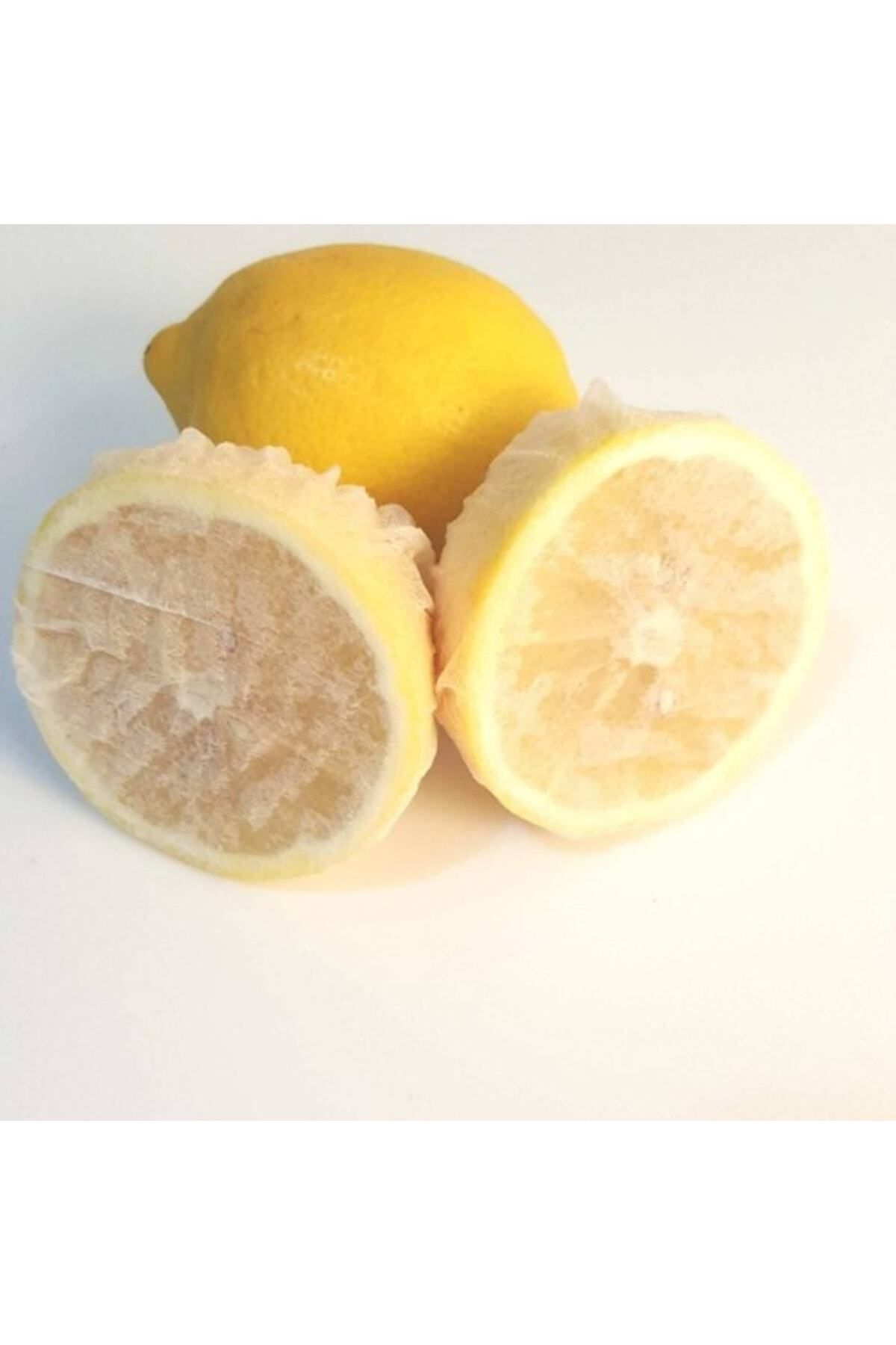 tekçe Limoncuk Limon Bonesi Çekirdeksiz Limon Keyfi 25 Adet