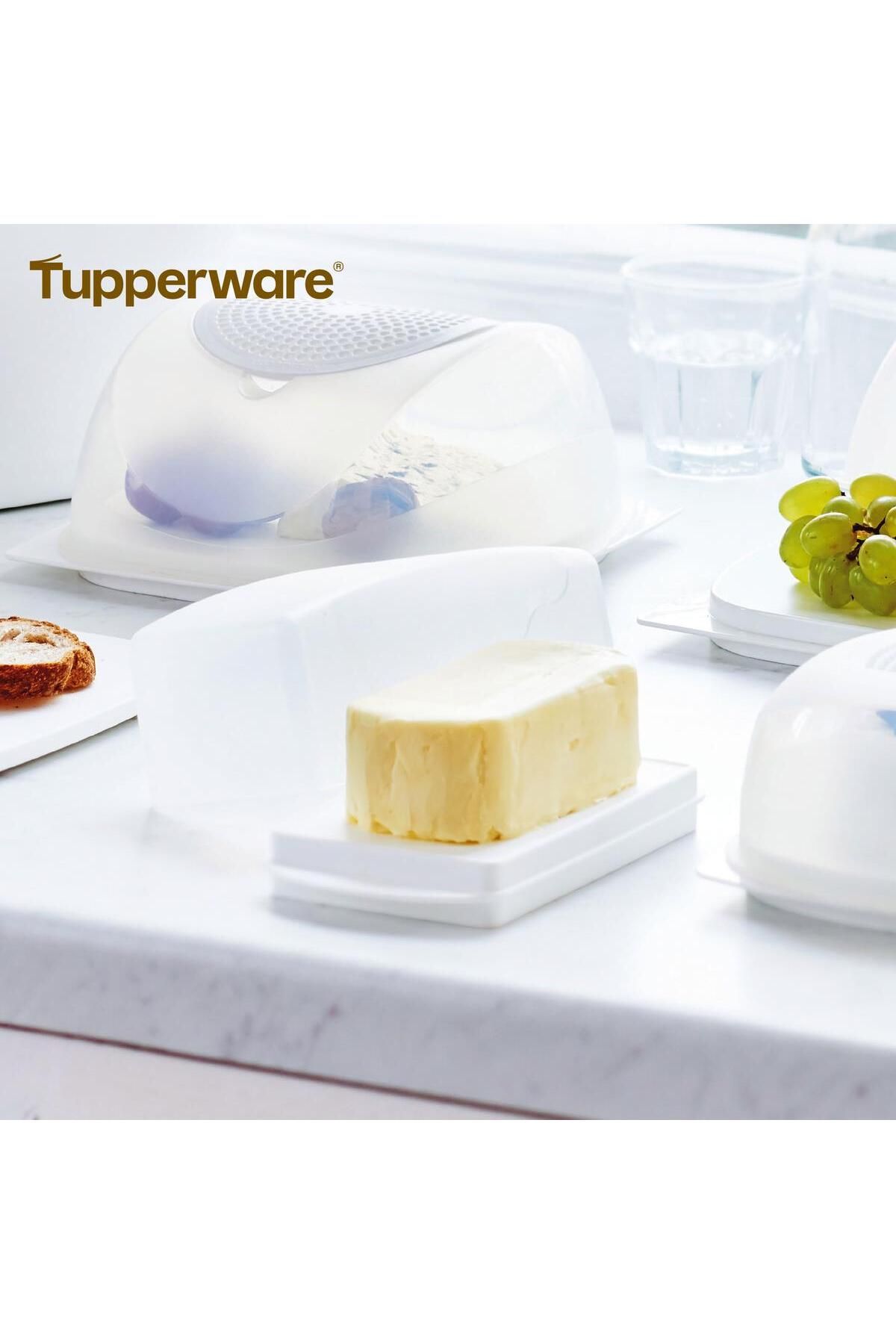 Tupperware Terayağlık Kar Beyazı