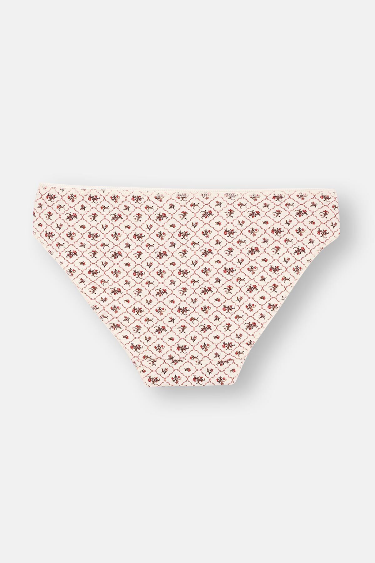 Dagi-Ecru-Red-Milk Brown Women's 3-Piece Patterned Brief Panties 5