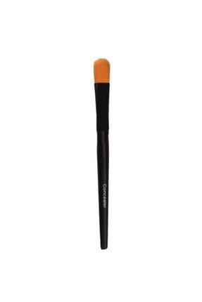 Youngblood Brushes Concealer 696137170121