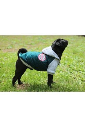 Alphadog Design London Kopek Montu Trendyol