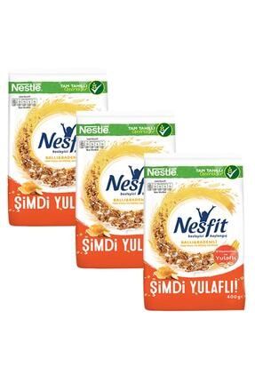 Nestle Nesfit Kirmizi Meyveli 400 G 4 Lu Set Trendyol