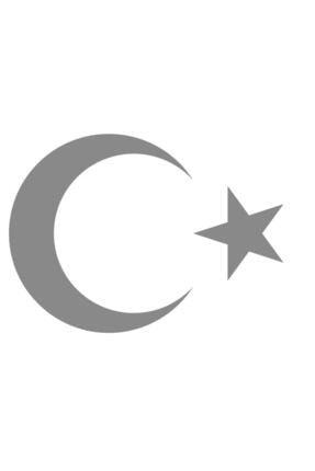 Türk Bayrağı Ay Yıldız 00323 50x36 Cm 00323-22