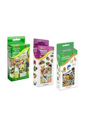 Diytoy 4 Lu Manyetik Tasitlar Harfler Hayvanlar Meyveler Sebzeler Magnet 3 6 Yas Trendyol