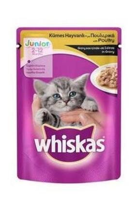 Whiskas Junior Kumes Hayvanli Gray Pouch 100 Gr 24 Adet Yas Mama Trendyol