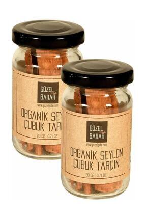 Fermente Mutfagim Organik Seylan Cubuk Tarcin Trendyol