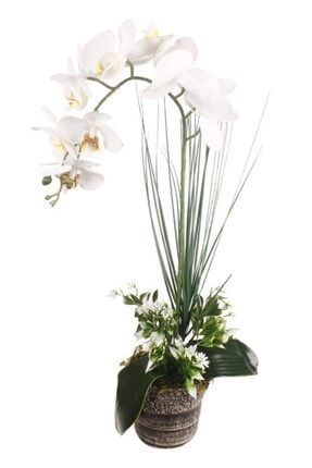 Yapay Çiçek Orkide Seramik Saksıda Beyaz Islak Orkide ty845152-56