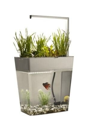 dopagu aqua garden kendi kendini temizleyebilen ledli akilli akvaryum 9 litre fiyati yorumlari trendyol