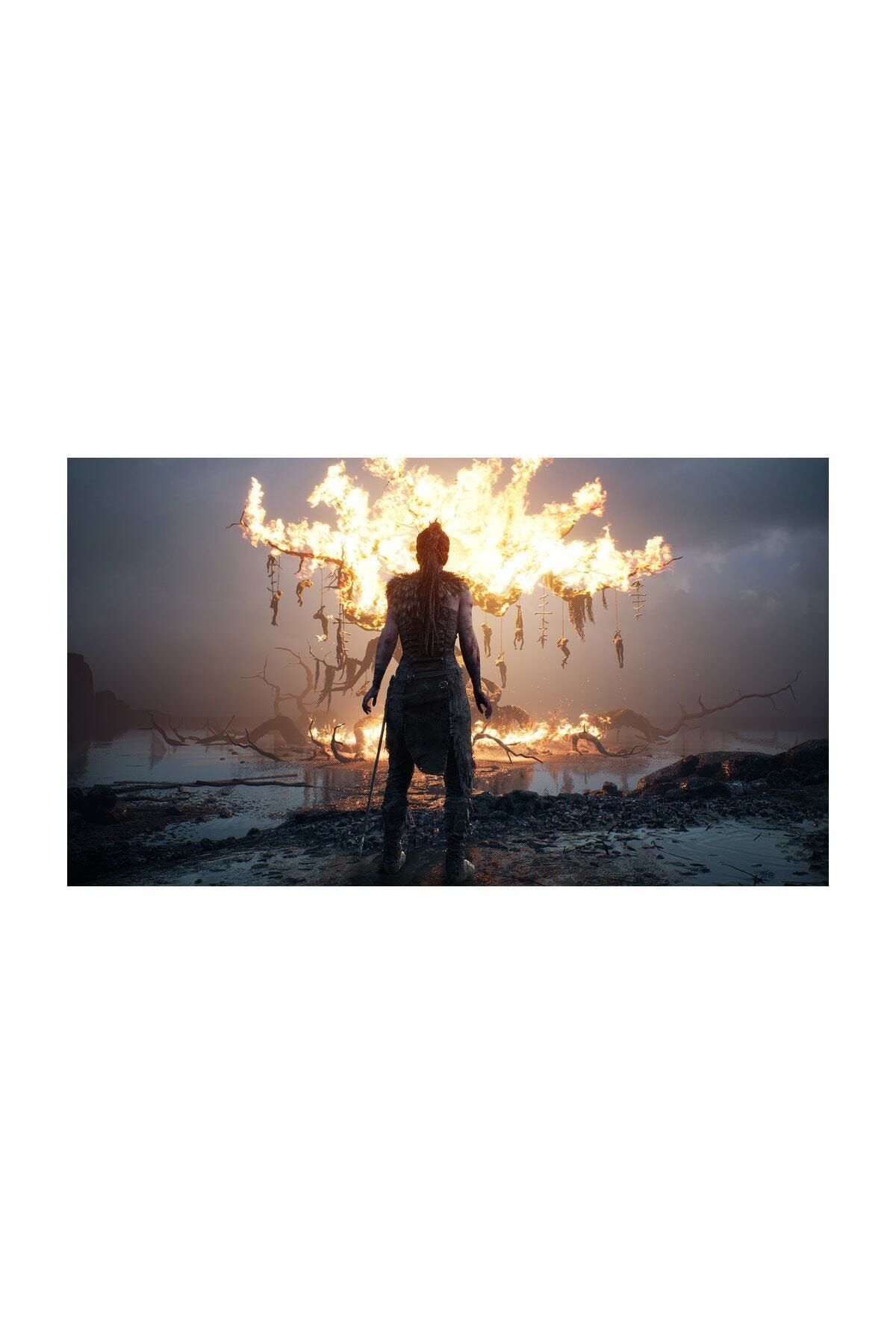 Hellblade senua's sacrifice ps4 price hotsell