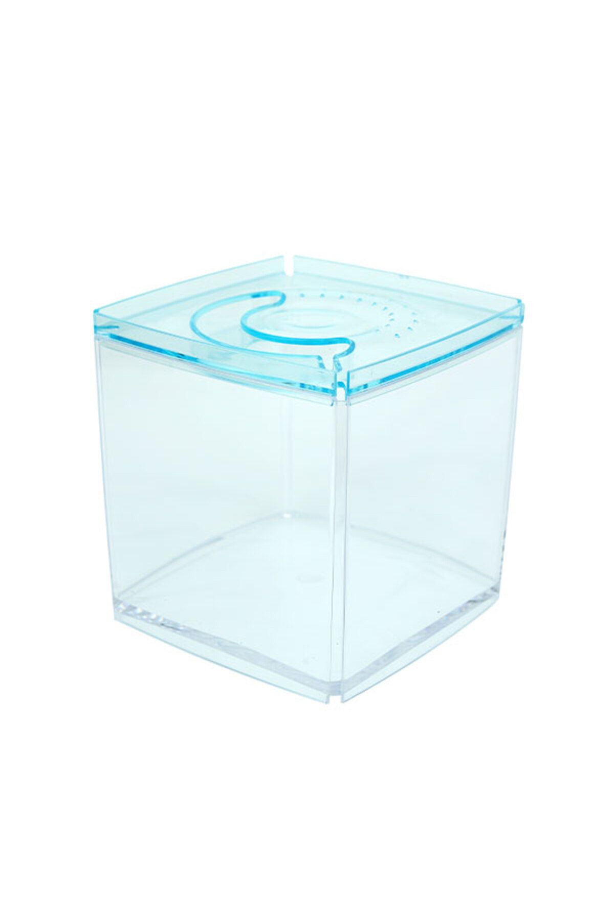 Ista Stylish Display Case - Kare Tank - Mavi 524130