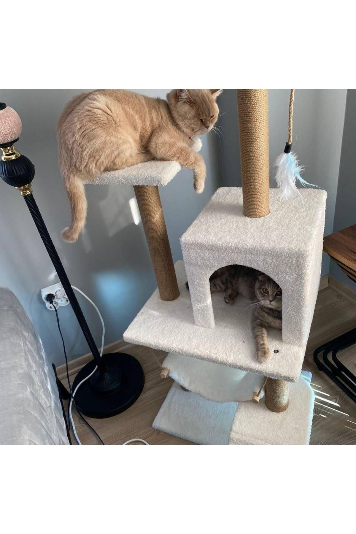 pethomealpi-Luxury Cat Scratching and Play Platform - with Hammock and Nest 3