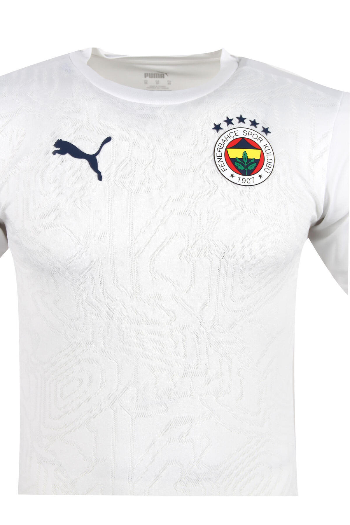 Puma Fenerbahce 2024/2025 A Takımı Weiß Antrenör Antrenman Tişörtü görsel 4