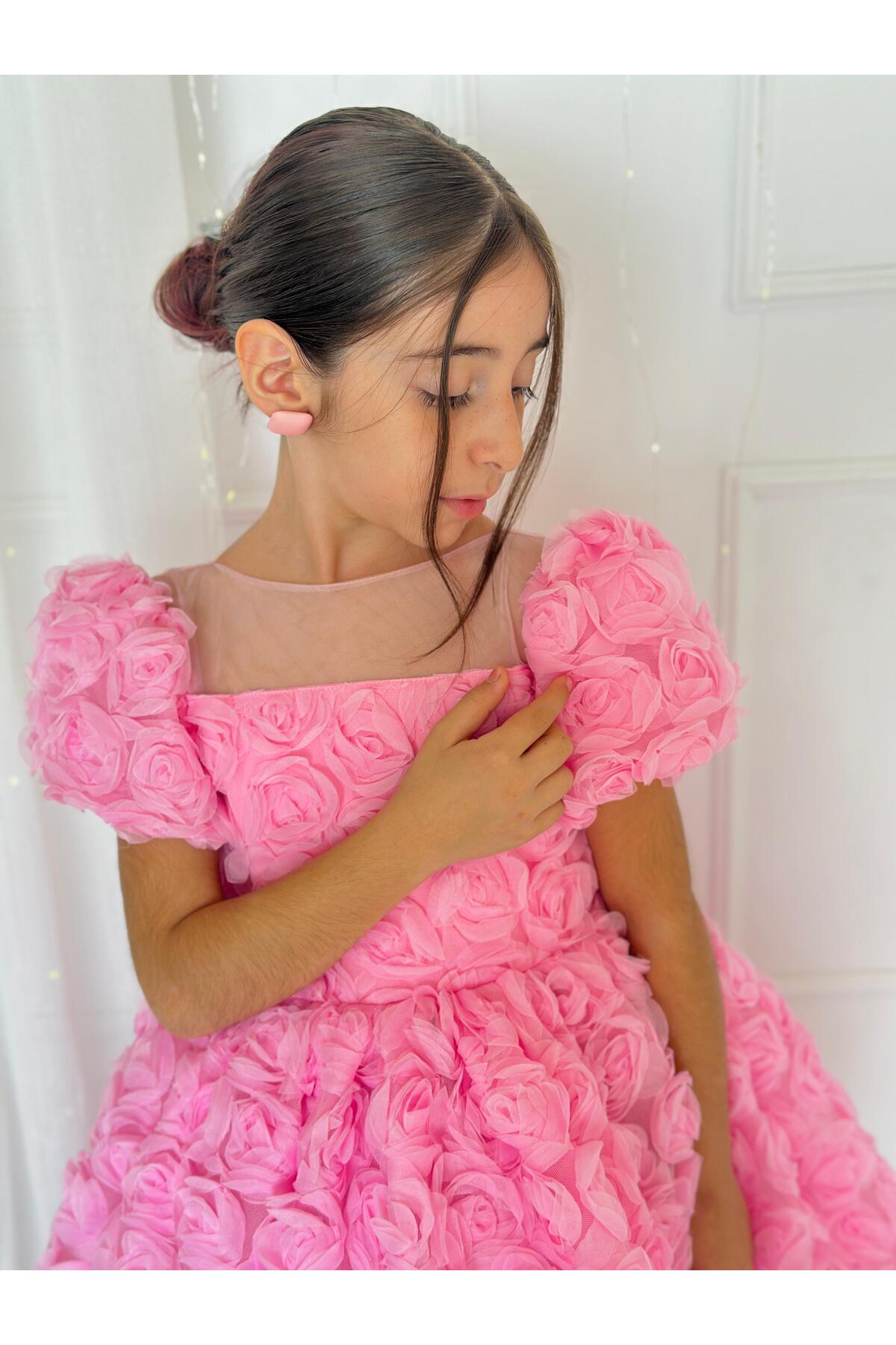 Hly Karol Tasarım Pembe Güllü Diana Vintage Kız Bebek Elbise,Doğum günü elbise,fotoğraf çekim elbise,0-12 Yaş Uygun fotoğrafı 3 (önizleme)