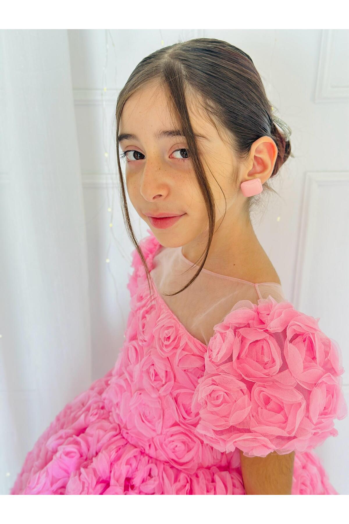 Hly Karol Tasarım Pembe Güllü Diana Vintage Kız Bebek Elbise,Doğum günü elbise,fotoğraf çekim elbise,0-12 Yaş Uygun fotoğrafı 2 (önizleme)