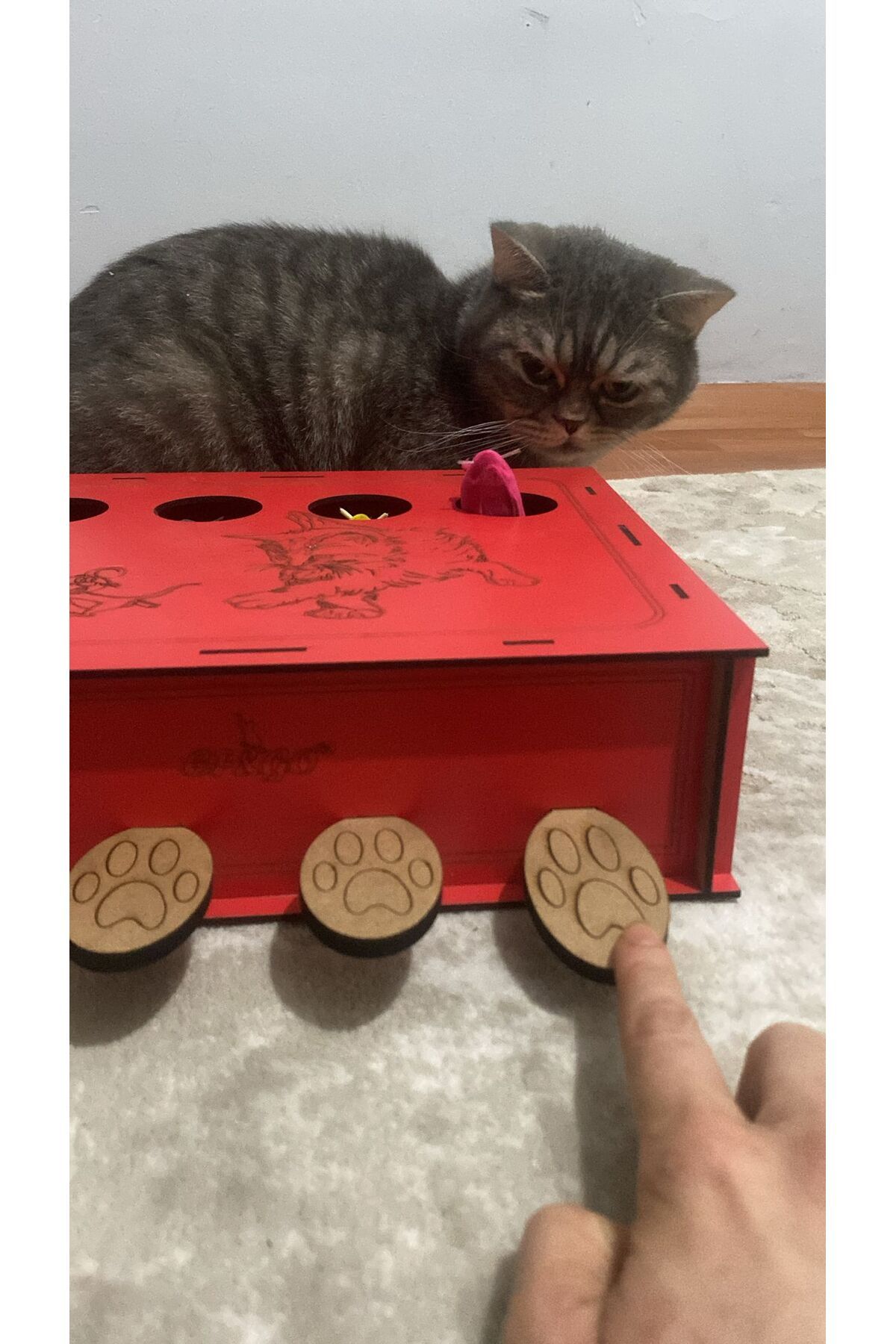 pethomealpi-Wooden Cat Toy - Mouse Hunt Catch Game 3