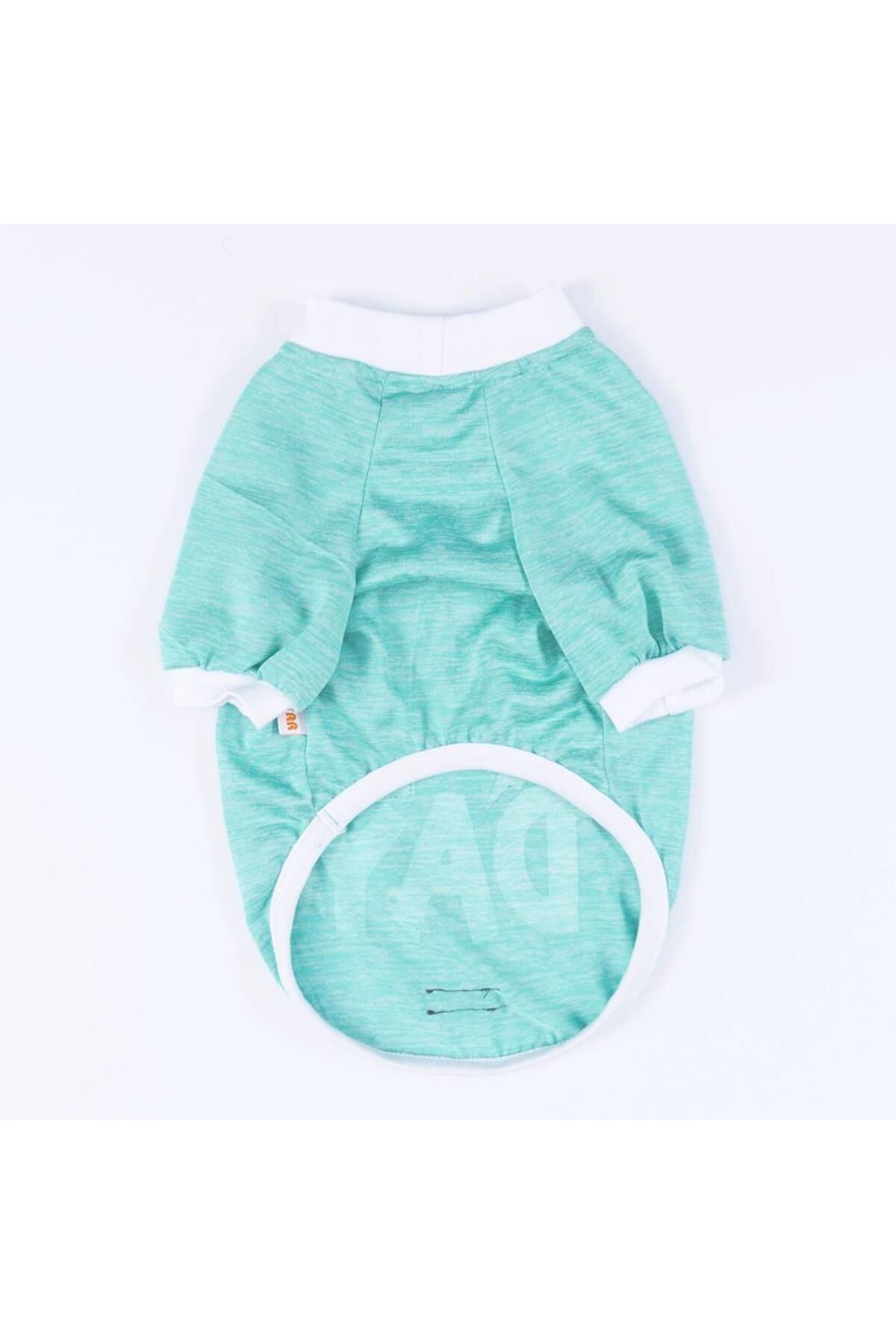 Pawstar-Mint Fun Day Cat Dog Sweatshirt - Cat Dog Outfit 5
