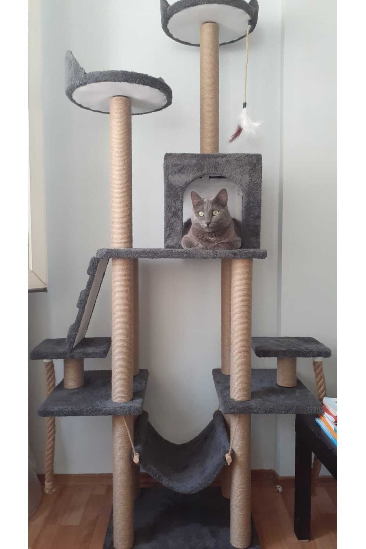 pethomealpi-- Castle Multi-Storey Nest Cat Scratching and Play Platform 6