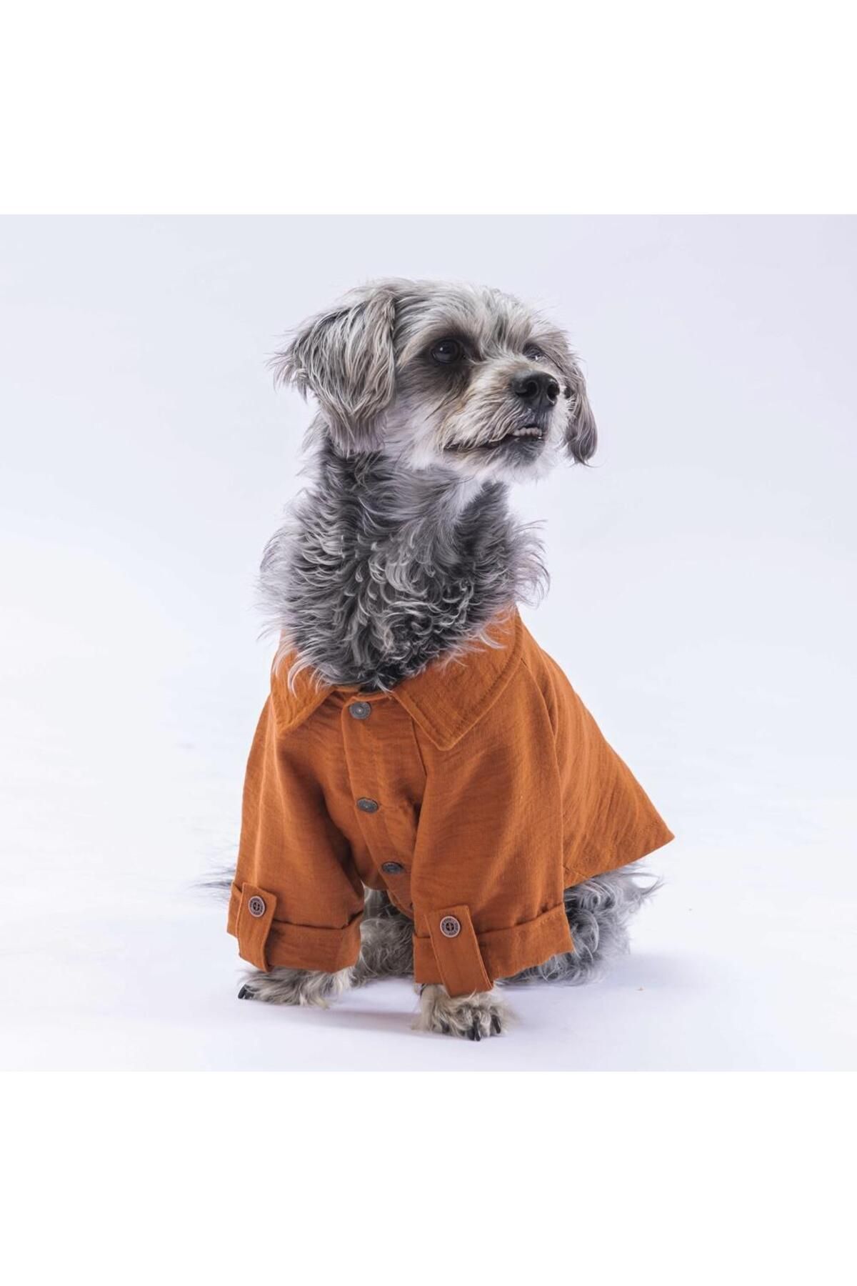 Pawstar-Cat Dog Outfit - Linen Look Brown Shirt 2