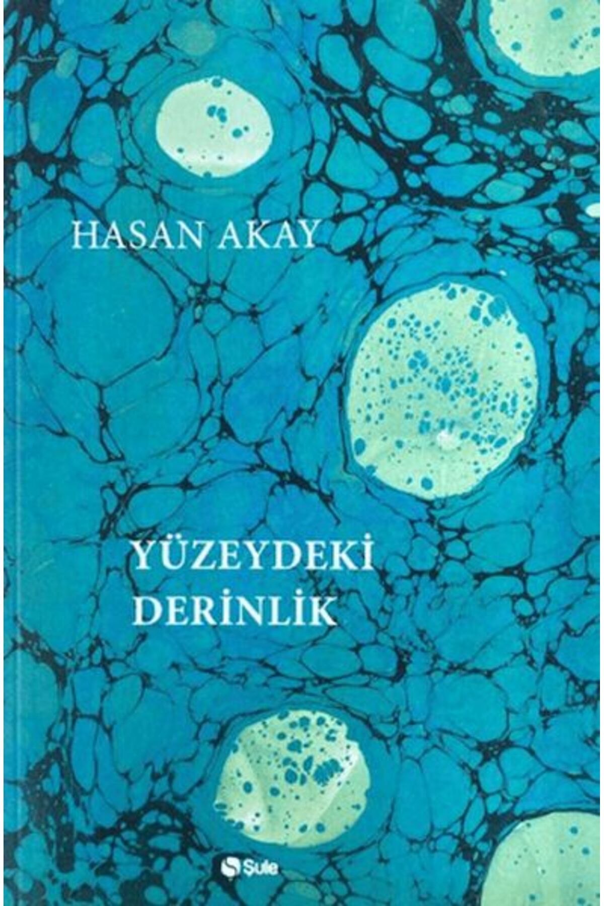 Türk Dil Kurumu Yayınları Yüzeydeki Derinlik