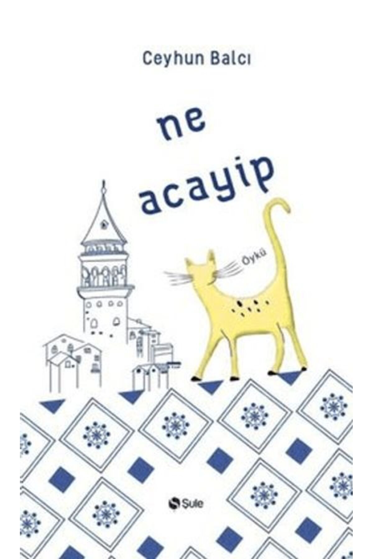 Şule Yayınları Ne Acayip