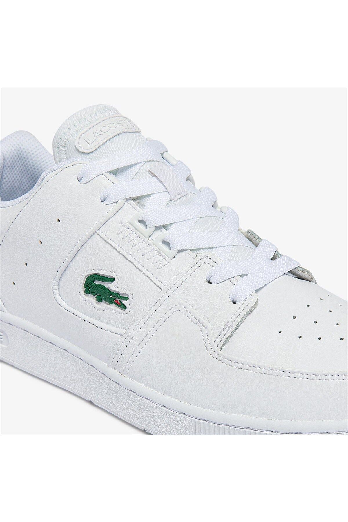 دادگاه قفس 0721 1 Sma Lacoste