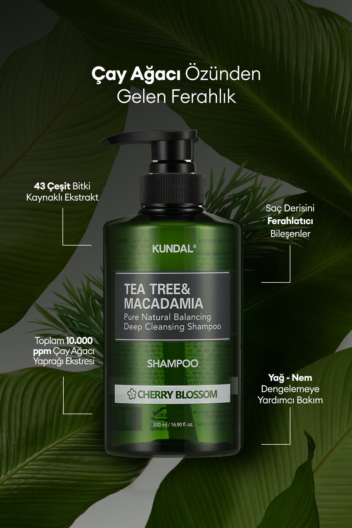 Kundal-Kundal Tea Tree & Macadamia Shampoo - Deep Cleansing with Scalp Problems, Cherry Blossom 2