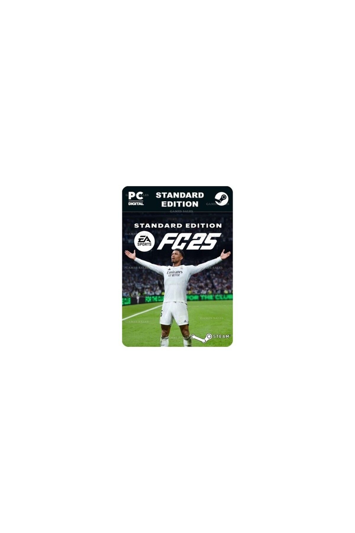 EA Sports FC 25 Steam Hesap