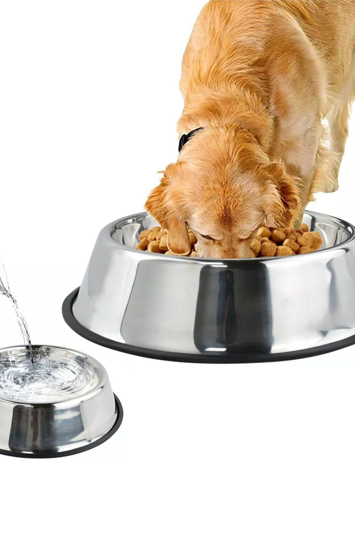 Greathings-18 cm Metal Cat |   Dog Food Bowl, Water Bowl, Steel, Patterned Food and Water Bowl 3