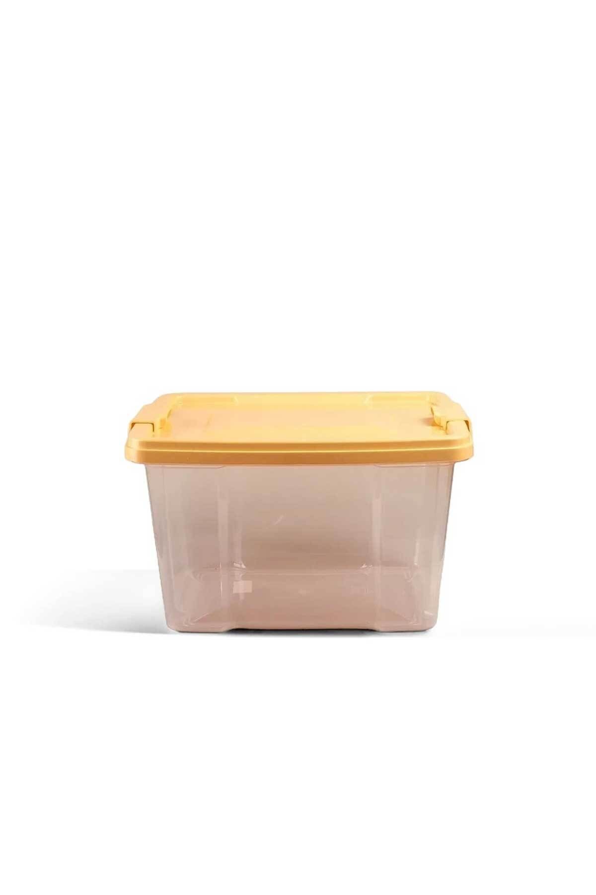 QUTU-Q-Lear Box 11 L Clear Storage Box with Lock 2