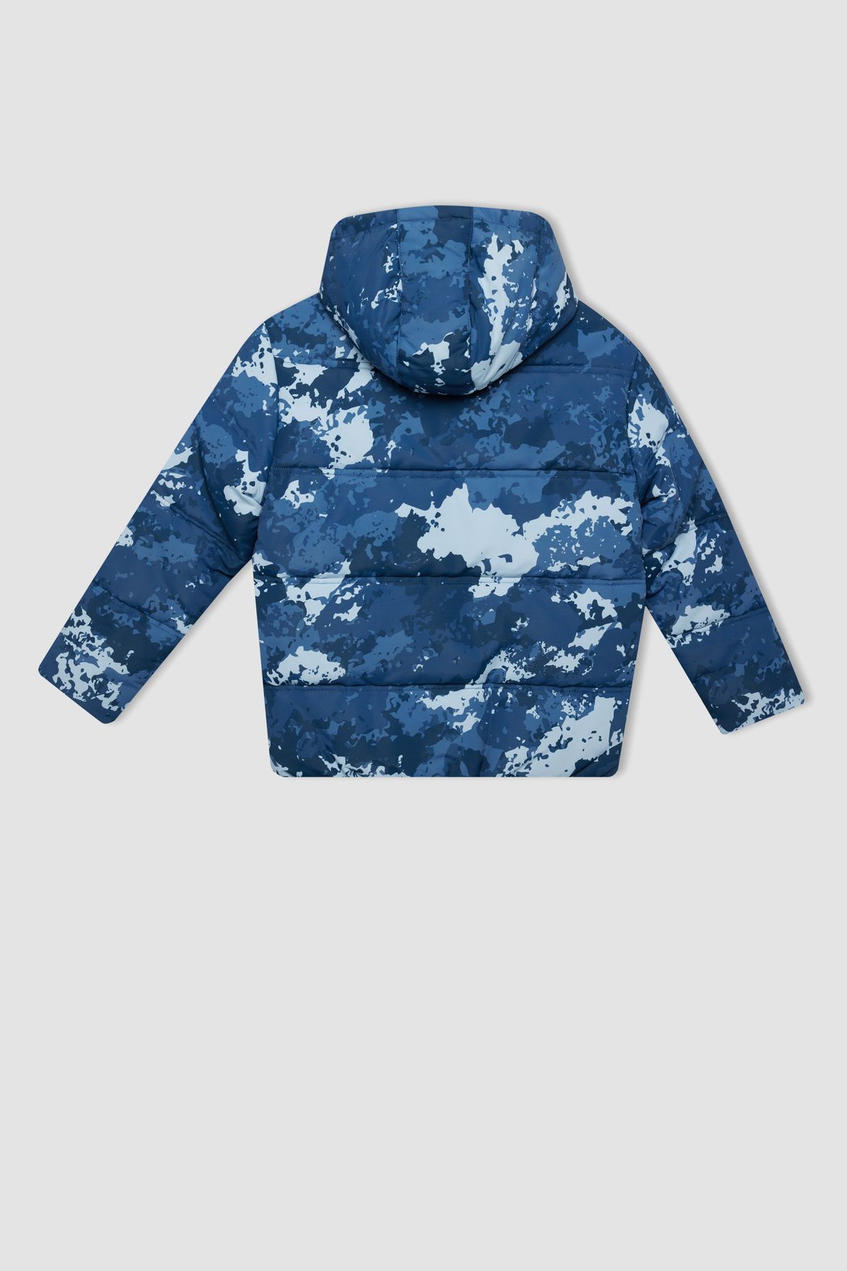 DeFacto-Boy's Fleece down Jacket - Water Repellent, Hood, Print, Zip-Up and Pocket C5976A824Wn 2