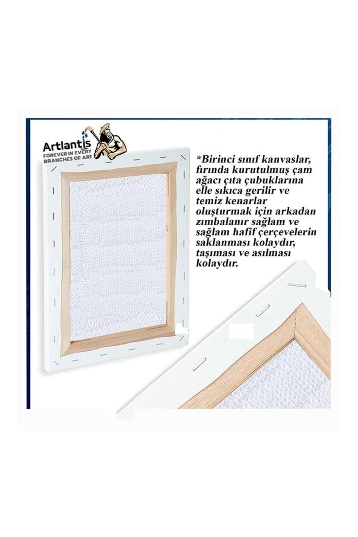 Artlantis-Canvas 35x50 Back Studded Lined 3 Pieces Painting Canvas 35*50 Student Canvas Acrylic Paint Oil Painting I 4