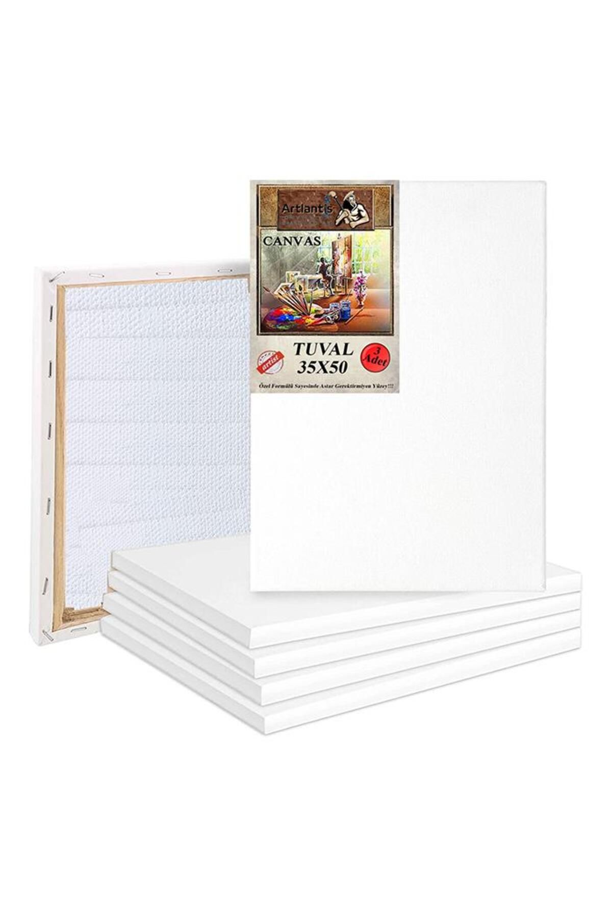 Artlantis-Canvas 35x50 Back Studded Lined 3 Pieces Painting Canvas 35*50 Student Canvas Acrylic Paint Oil Painting I 1