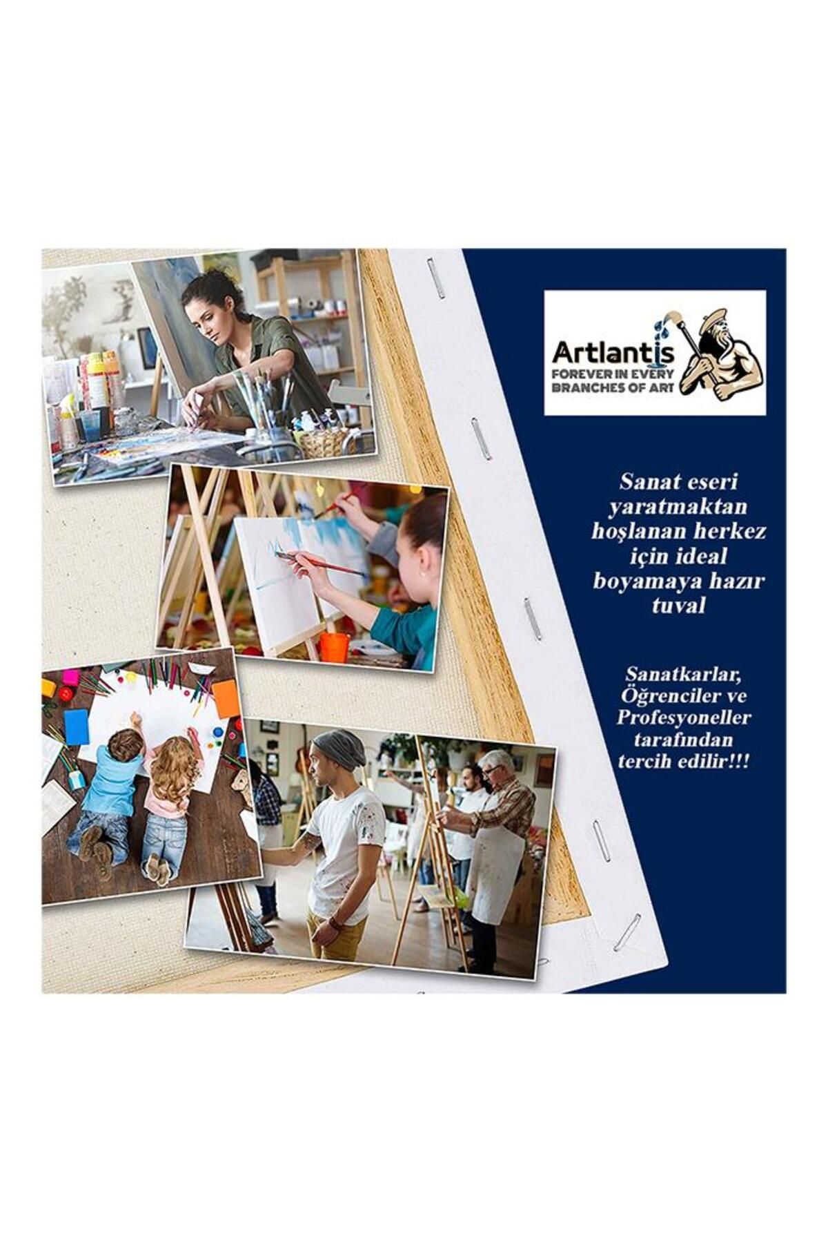 Artlantis-Canvas 35x50 Back Studded Lined 3 Pieces Painting Canvas 35*50 Student Canvas Acrylic Paint Oil Painting I 5