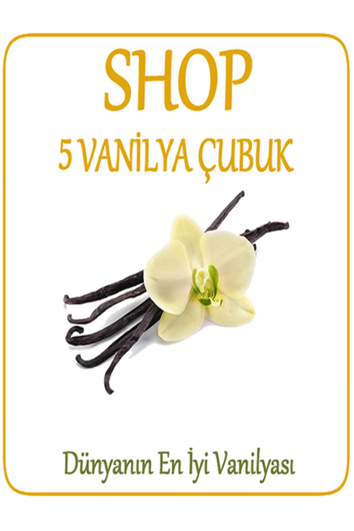 shop Çubuk Vanilya 5 adet 16-17 cm Yeni, Taze, Doğal Vanilya Çubukları ile tatlılarınız daha da lezzetli