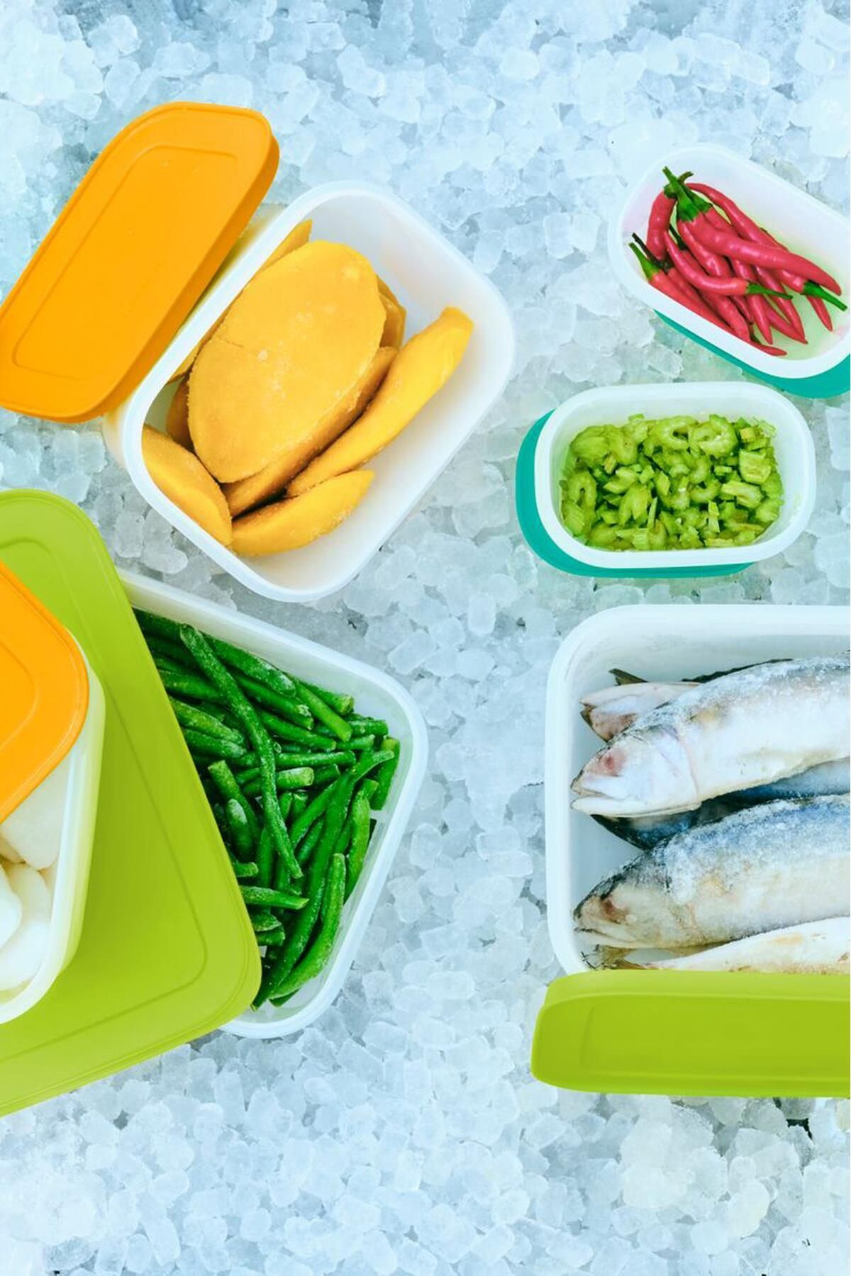 Tupperware-مجموعة حاوية تخزين ديب فريزر ألاسكا للمبتدئين، تصميم عملي وأنيق 4