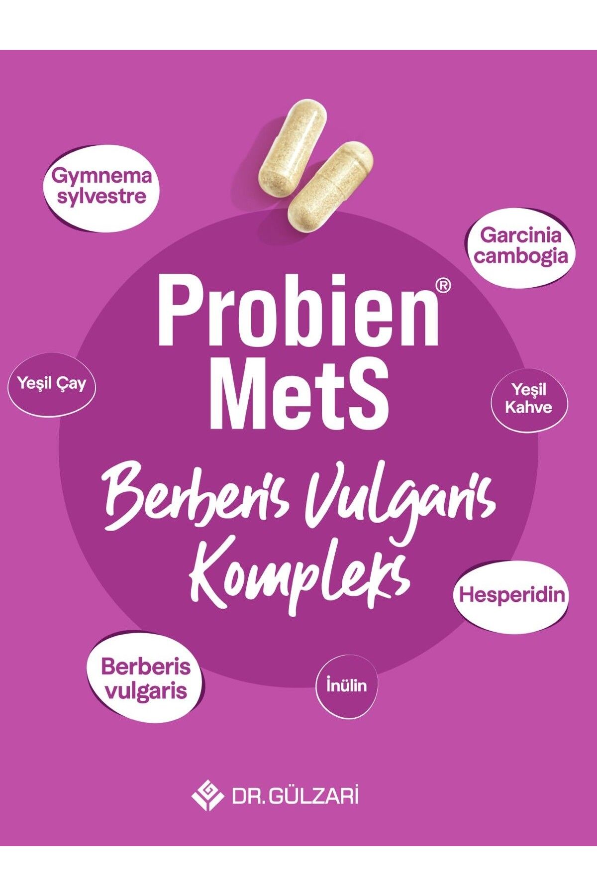 Probien-Probien Mets Berberis Vulgaris Complex 2