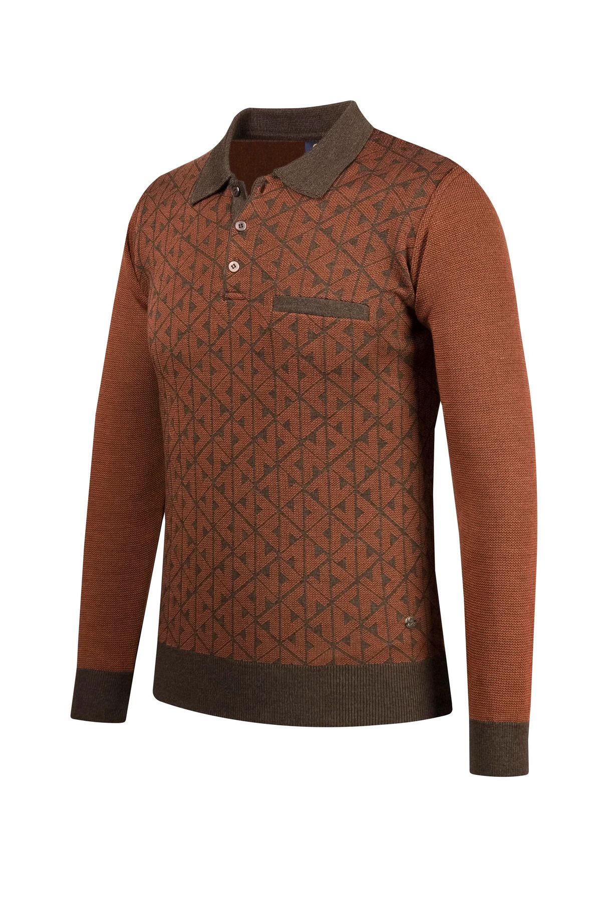 Çizgi Triko-Men's Brown Large Size Polo Collar Sweater Patterned Sleeve and Waist Elastic Steel Knit Classic Fit 3