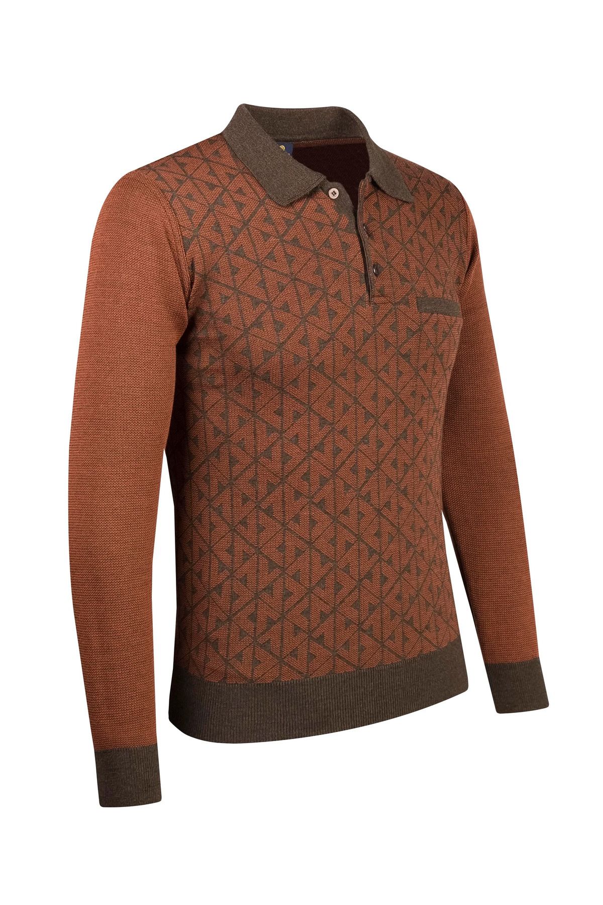 Çizgi Triko-Men's Brown Large Size Polo Collar Sweater Patterned Sleeve and Waist Elastic Steel Knit Classic Fit 2