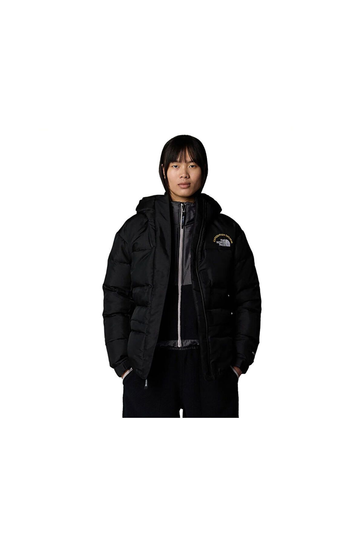 THE NORTH FACE-Hmlyn 30 Anniversary Parka - Women's Outdoor Coat, 600 Wedge Down, Nf0A88Ywjk31 Si 4