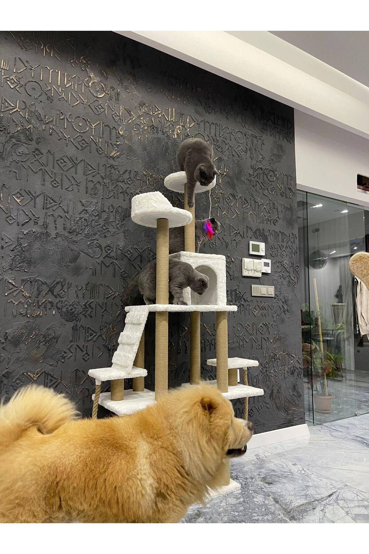 pethomealpi-Luxury Cat Scratching and Play Platform - with Hammock and Nest 3